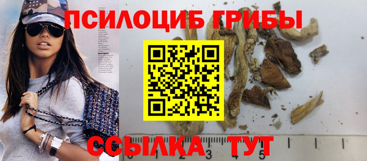 Прокопьевск  Галлюциногенные грибы GOLDEN TEACHER  Вход с VPN  Галлюциногенные грибы прущие грибы 