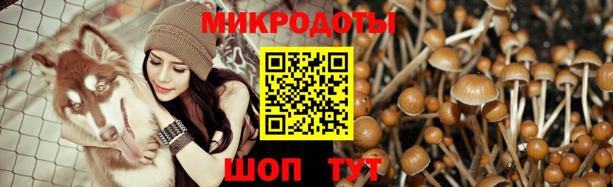 Псилоцибиновые грибы ЛСД Прокопьевск